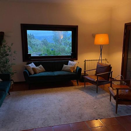 Casa Catita - Douro Villa Baiao Ngoại thất bức ảnh