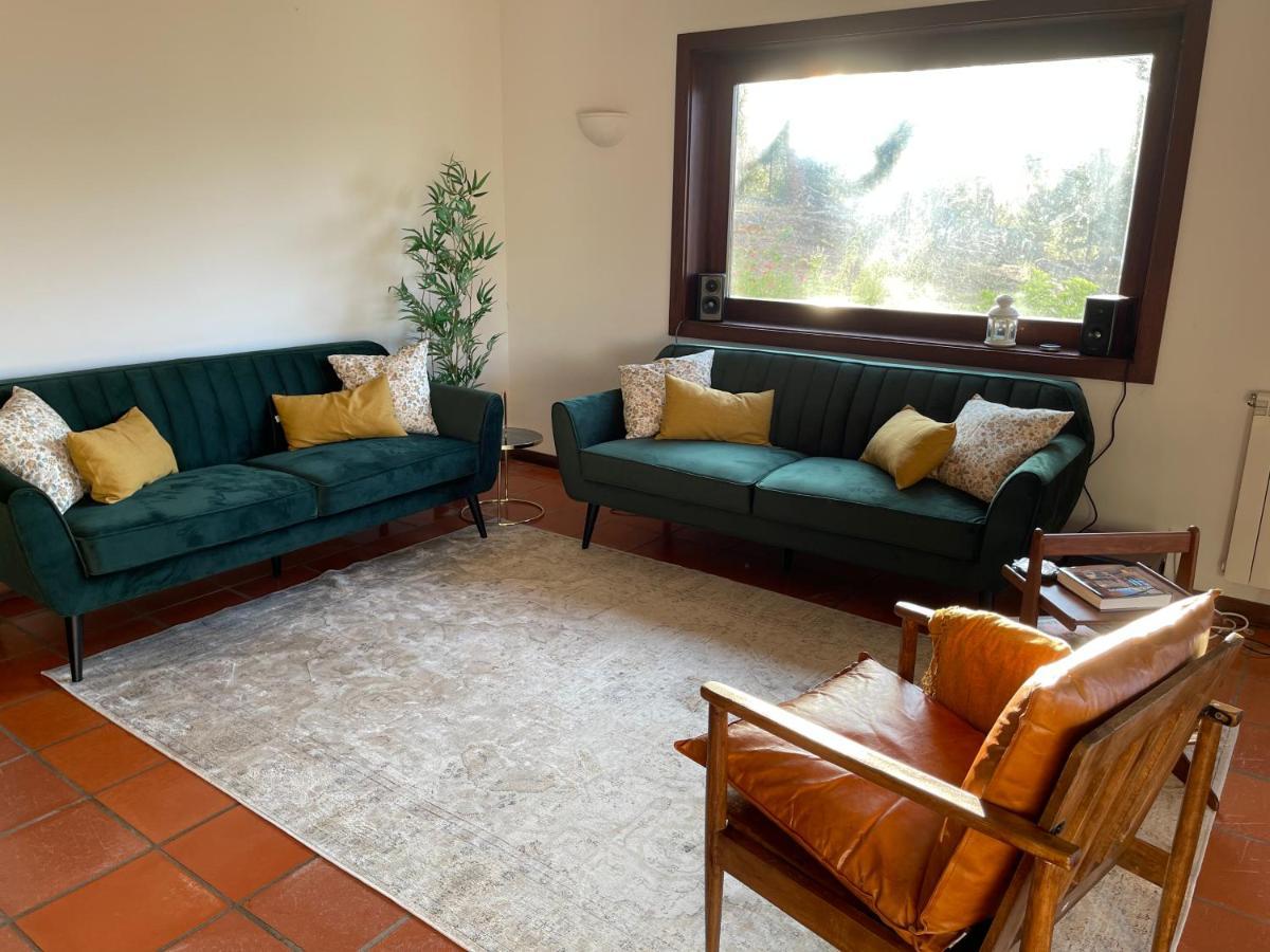Casa Catita - Douro Villa Baiao Ngoại thất bức ảnh