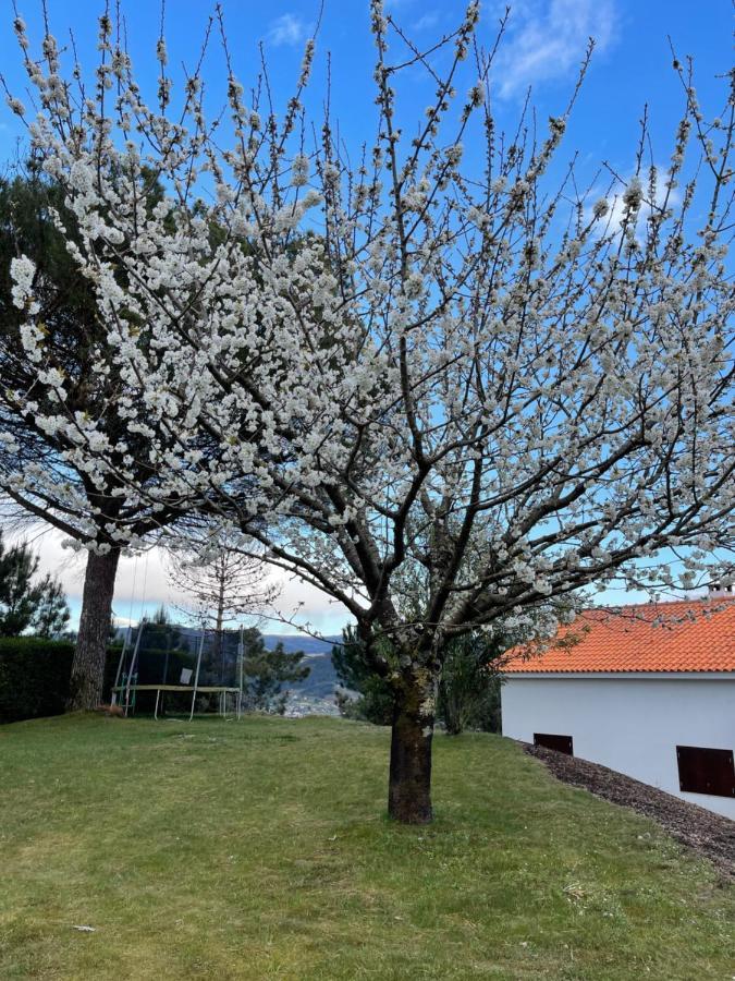 Casa Catita - Douro Villa Baiao Ngoại thất bức ảnh