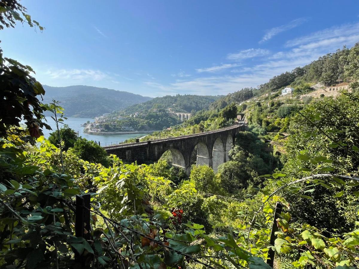 Casa Catita - Douro Villa Baiao Ngoại thất bức ảnh